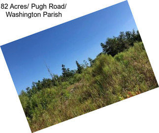 82 Acres/ Pugh Road/ Washington Parish