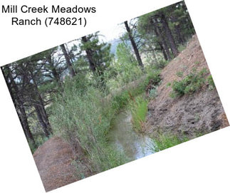 Mill Creek Meadows Ranch (748621)