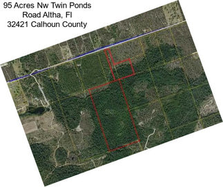 95 Acres Nw Twin Ponds Road Altha, Fl 32421 Calhoun County