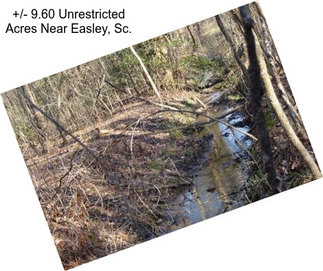 +/- 9.60 Unrestricted Acres Near Easley, Sc.