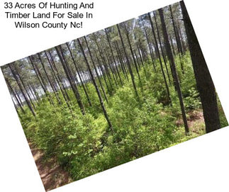 33 Acres Of Hunting And Timber Land For Sale In Wilson County Nc!