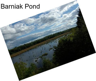 Barniak Pond