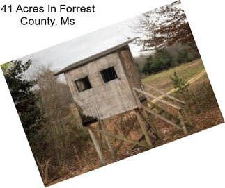 41 Acres In Forrest County, Ms