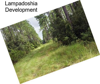 Lampadoshia Development