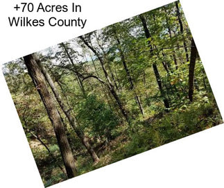 +70 Acres In Wilkes County