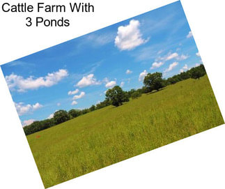 Cattle Farm With 3 Ponds