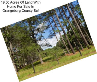 19.50 Acres Of Land With Home For Sale In Orangeburg County Sc!