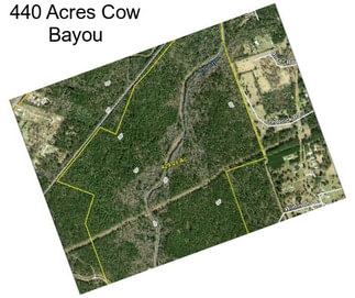 440 Acres Cow Bayou