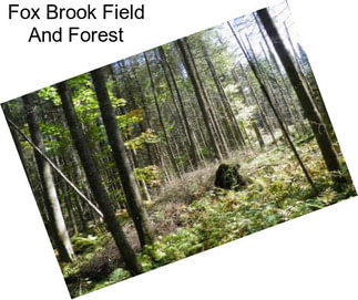 Fox Brook Field And Forest