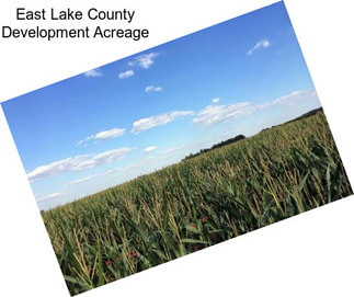 East Lake County Development Acreage