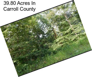 39.80 Acres In Carroll County