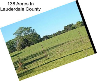 138 Acres In Lauderdale County