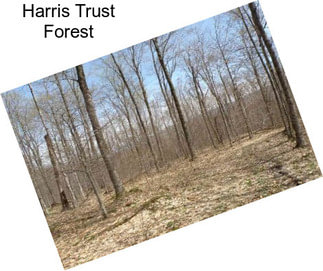 Harris Trust Forest