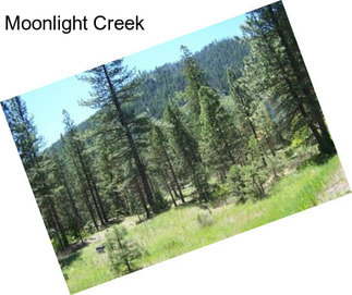 Moonlight Creek