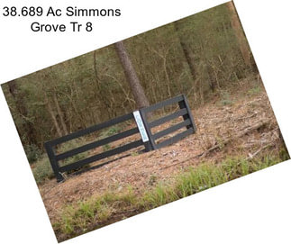 38.689 Ac Simmons Grove Tr 8