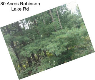 80 Acres Robinson Lake Rd