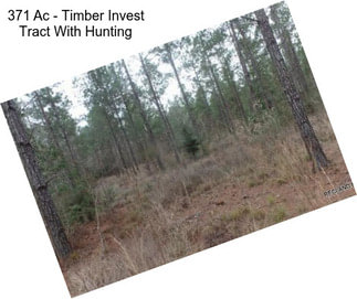 371 Ac - Timber Invest Tract With Hunting