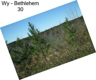 Wy - Bethlehem 30