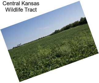 Central Kansas Wildlife Tract