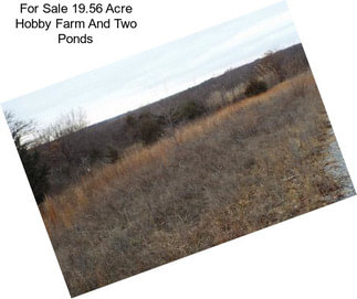 For Sale 19.56 Acre Hobby Farm And Two Ponds