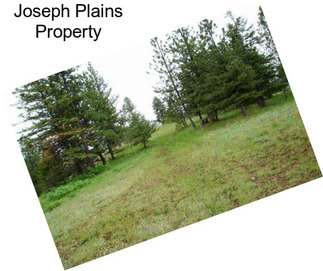 Joseph Plains Property