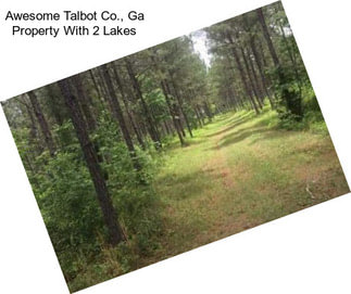 Awesome Talbot Co., Ga Property With 2 Lakes