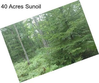 40 Acres Sunoil