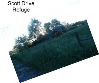 Scott Drive Refuge