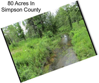 80 Acres In Simpson County