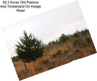 82.3 Acres Old Pasture And Timberland On Hodge Road