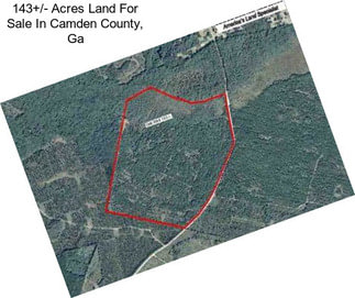 143+/- Acres Land For Sale In Camden County, Ga