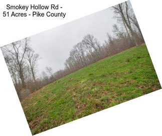Smokey Hollow Rd - 51 Acres - Pike County