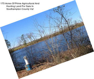 175 Acres Of Prime Agricultural And Hunting Land For Sale In Southampton County Va!