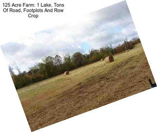 125 Acre Farm: 1 Lake, Tons Of Road, Footplots And Row Crop