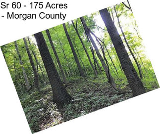 Sr 60 - 175 Acres - Morgan County