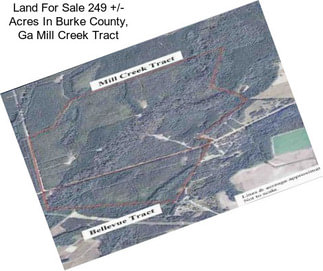 Land For Sale 249 +/- Acres In Burke County, Ga Mill Creek Tract