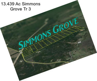 13.439 Ac Simmons Grove Tr 3