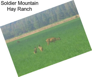 Soldier Mountain Hay Ranch