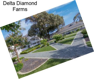 Delta Diamond Farms