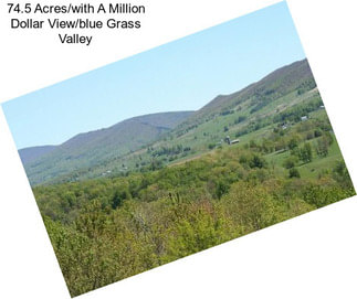 74.5 Acres/with A Million Dollar View/blue Grass Valley