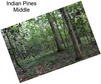 Indian Pines Middle