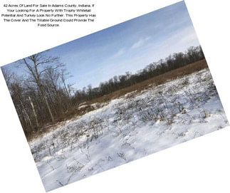 42 Acres Of Land For Sale In Adams County, Indiana. If Your Looking For A Property With Trophy Whitetail Potential And Turkey Look No Further. This Property Has The Cover And The Tillable Ground Could Provide The Food Source.