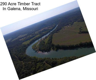 290 Acre Timber Tract In Galena, Missouri