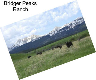 Bridger Peaks Ranch