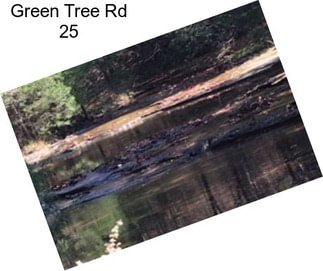 Green Tree Rd 25