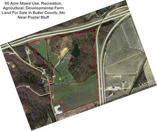 90 Acre Mixed Use, Recreation, Agricultural, Developmental Farm Land For Sale In Butler County, Mo Near Poplar Bluff