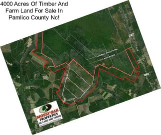 4000 Acres Of Timber And Farm Land For Sale In Pamlico County Nc!