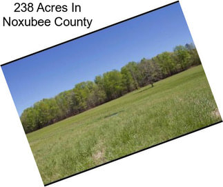 238 Acres In Noxubee County