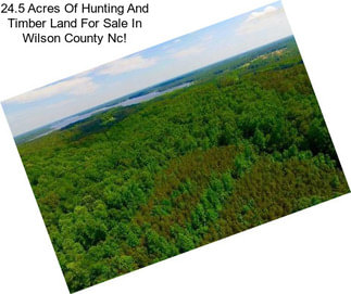 24.5 Acres Of Hunting And Timber Land For Sale In Wilson County Nc!