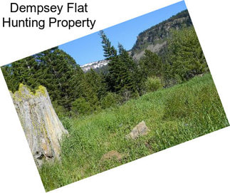 Dempsey Flat Hunting Property